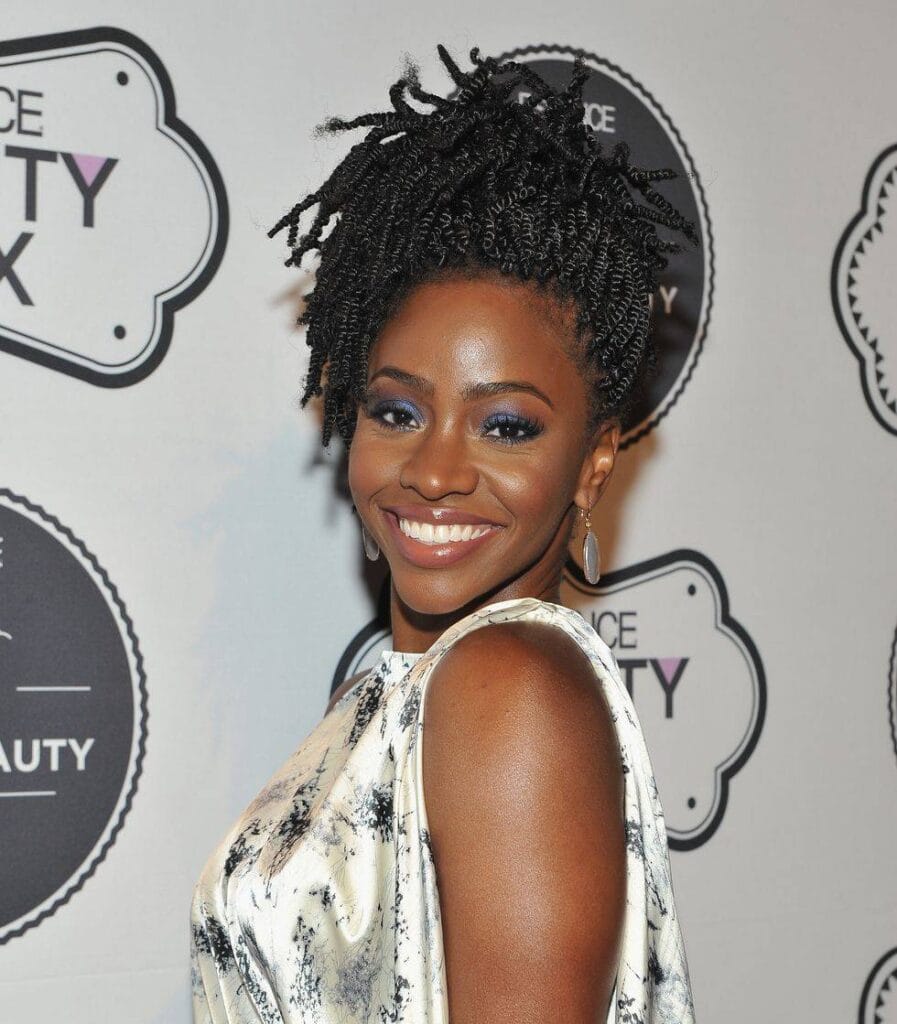 Two-Strand-Twist-With-Hair-Extensions-All-Things-You-Should-Know-nubian-twists