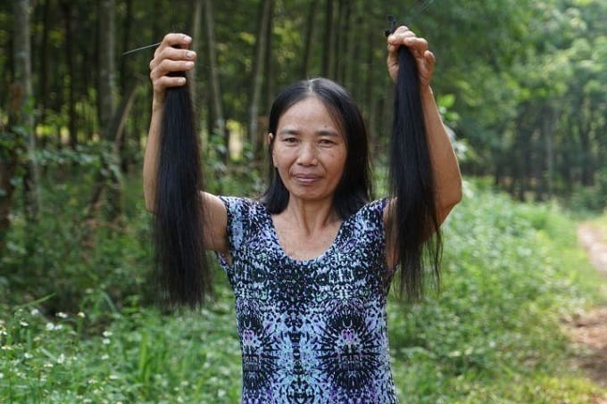 Revealing-The-Secret-Of-How-To-Collect-Single-Donor-Hair