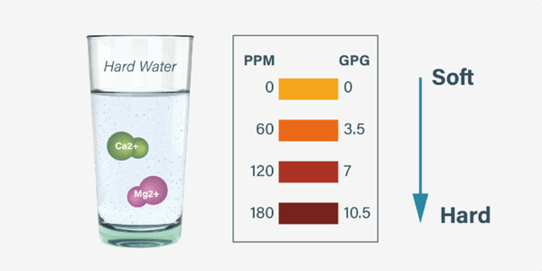 Top-Shampoos-in-2024-That-Will-Save-Your-Hair-From-Hard-Water