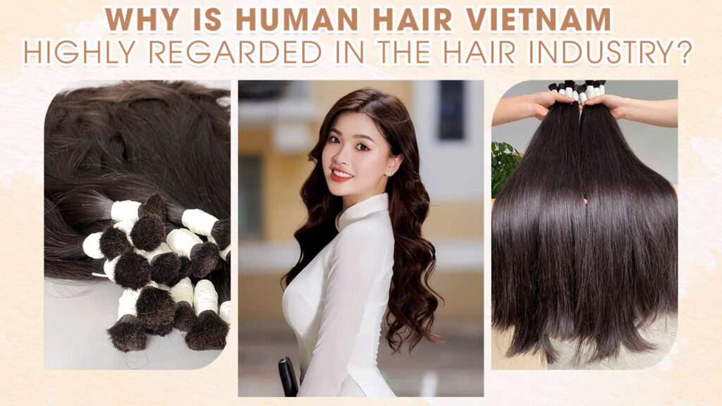 Why-is-Human-Hair-Vietnam-Highly-Regarded-in-The-Hair-Industry