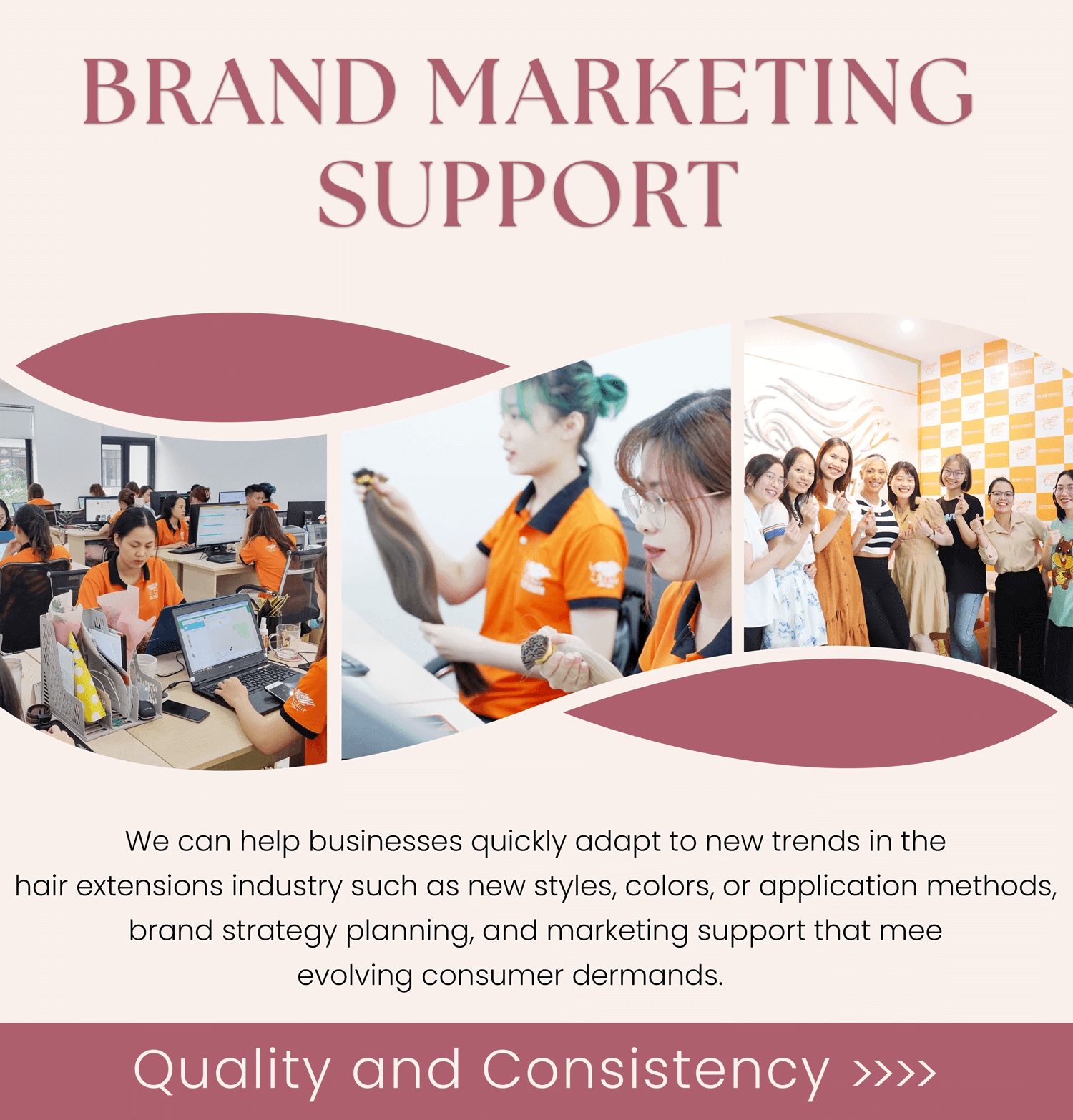 Brand Marketing Support